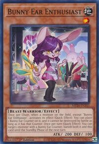 Bunny Ear Enthusiast • MP24-EN343 • C