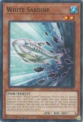 White Sardine • MP25-EN305 • C
