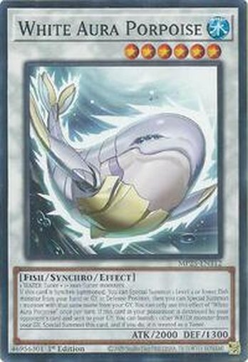 White Aura Porpoise • MP25-EN312 • C