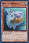 White Sunfish • PHNI-EN006 • C