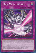 Max Metalmorph • ROTA-EN071 • C