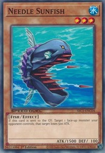 Needle Sunfish • SBC1-ENC04 • C