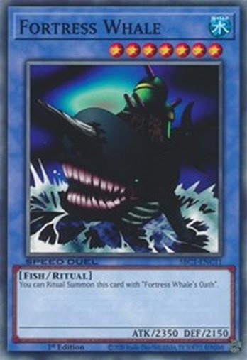 Fortress Whale • SBC1-ENC11 • C
