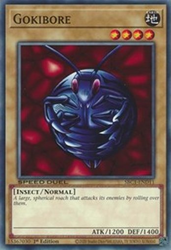 Gokibore • SBC1-END11 • C