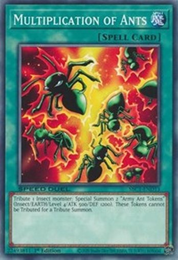 Multiplication of Ants • SBC1-END13 • C