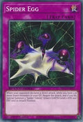 Spider Egg • SBC1-END17 • C