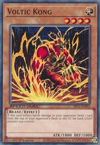 Voltic Kong • SBC1-ENF03 • C