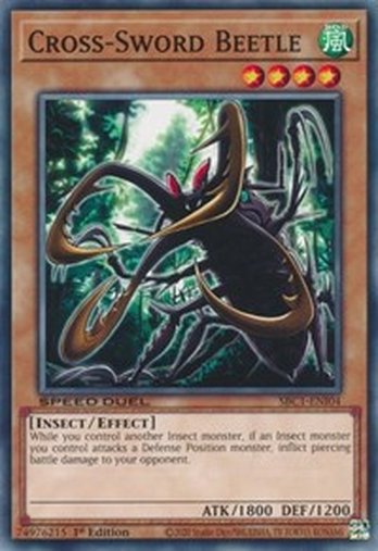 Cross-Sword Beetle • SBC1-ENI04 • C