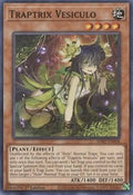 Traptrix Vesiculo • SDBT-EN008 • C