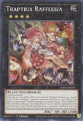Traptrix Rafflesia • SDBT-EN039 • C