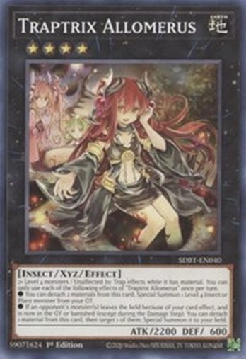 Traptrix Allomerus • SDBT-EN040 • C