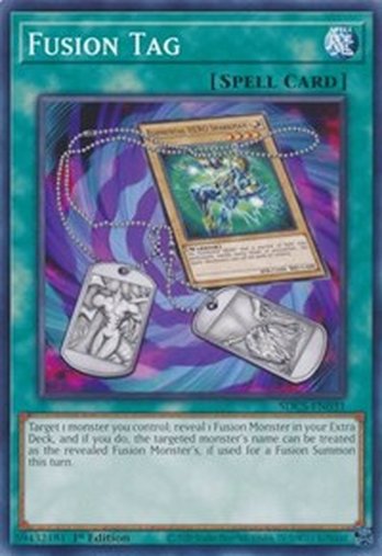 Fusion Tag • SDCS-EN031 • C