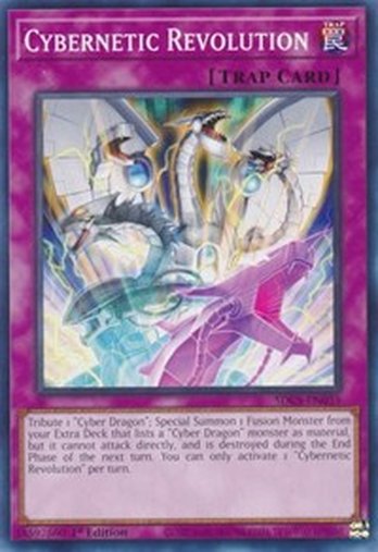 Cybernetic Revolution • SDCS-EN035 • C