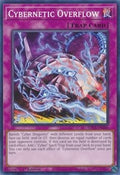 Cybernetic Overflow • SDCS-EN040 • C