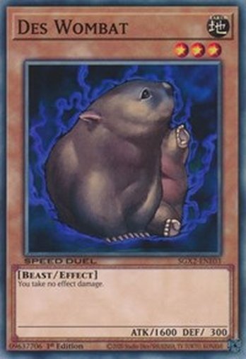 Des Wombat • SGX2-ENE03 • C
