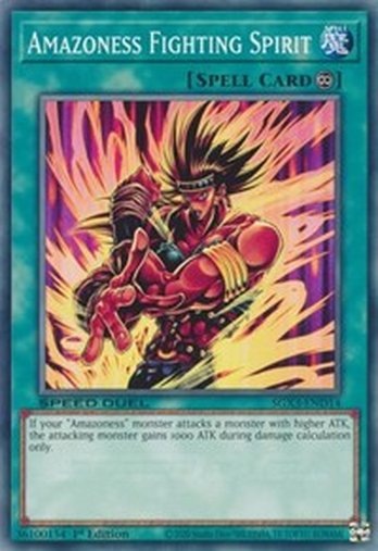 Amazoness Fighting Spirit • SGX3-END14 • C