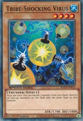 Tribe-Shocking Virus • SGX3-ENF13 • C