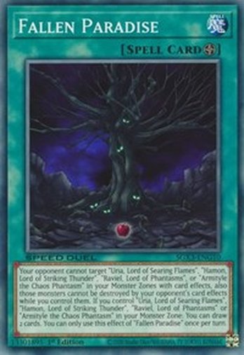 Fallen Paradise • SGX3-ENG10 • C