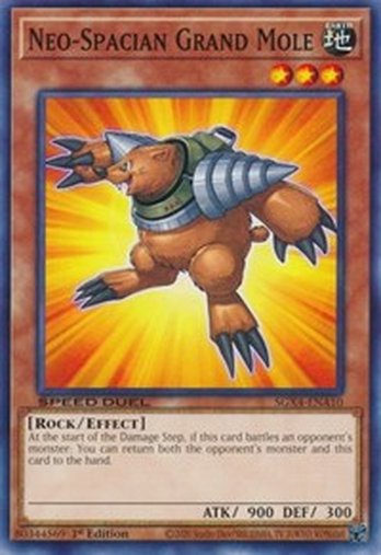 Neo-Spacian Grand Mole • SGX4-ENA10 • C