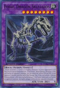 Fossil Dragon Skullgios • SGX4-END21 • C
