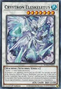 Crystron Eleskeletus • SUDA-EN041 • C