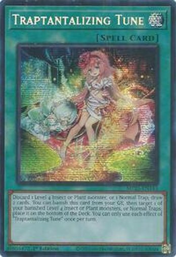 Traptantalizing Tune • MP25-EN143 • PSR