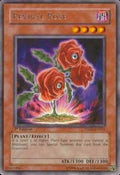 Revival Rose • TSHD-EN016 • R