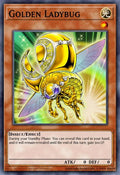 Golden Ladybug • LODT-EN036 • R • 2024 Reprint