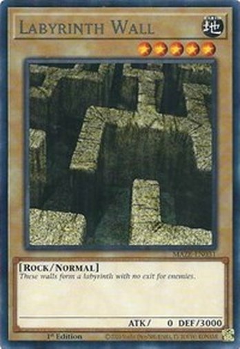Labyrinth Wall • MAZE-EN031 • R