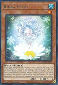 Rikka Petal • MAZE-EN047 • R