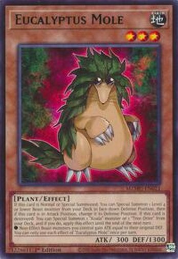 Eucalyptus Mole • MZMU-EN021 • R