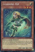 Learning Elf • BLGG-EN026 • SE
