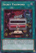 Secret Password • RA04-EN095 • SE