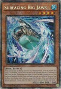 Surfacing Big Jaws • MP25-EN012 • STAR