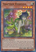 Traptrix Vesiculo • MP22-EN063 • SR
