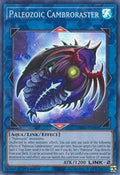 Paleozoic Cambroraster • MP22-EN088 • SR