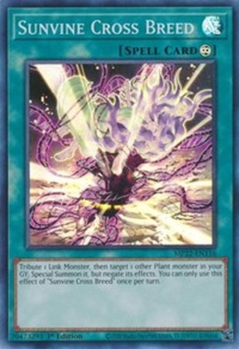 Sunvine Cross Breed • MP22-EN116 • SR