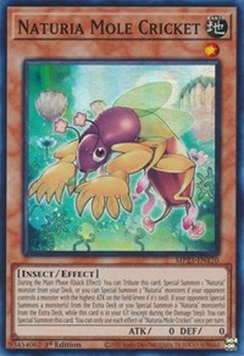 Naturia Mole Cricket • MP23-EN170 • SR