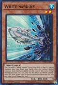 White Sardine • PHNI-EN007 • SR
