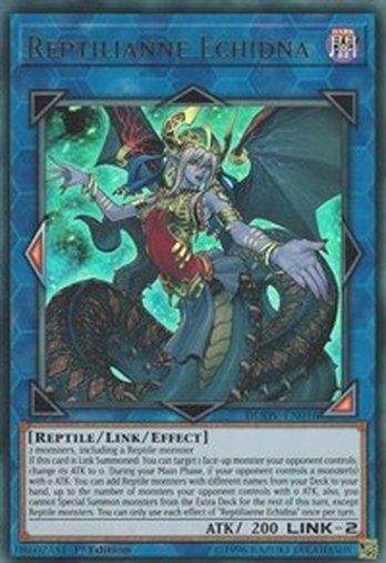 Reptilianne Echidna • DUOV-EN016 • UR