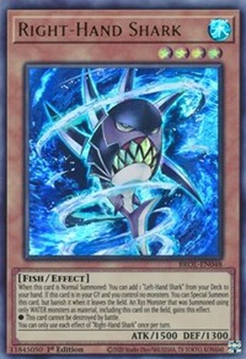 Right-Hand Shark • BROL-EN048 • UR