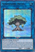 Sunavalon Dryas • GFTP-EN018 • UR