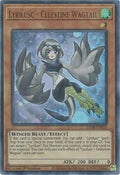 Lyrilusc - Celestine Wagtail • LED8-EN036 • UR