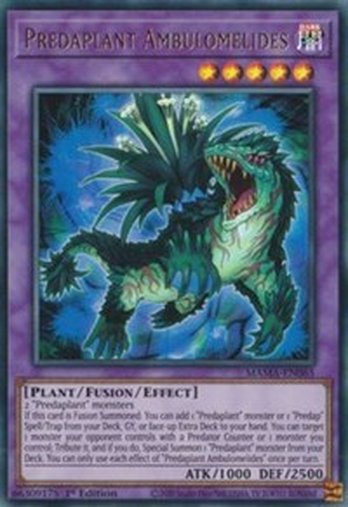 Predaplant Ambulomelides • MAMA-EN065 • UR