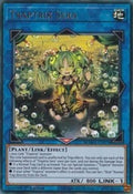 Traptrix Sera • MAMA-EN074 • UR