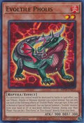 Evoltile Pholis • MP24-EN213 • UR